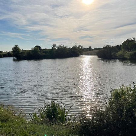 Confortable Ville A Deux Pas De Toulouse Tournefeuille Dış mekan fotoğraf