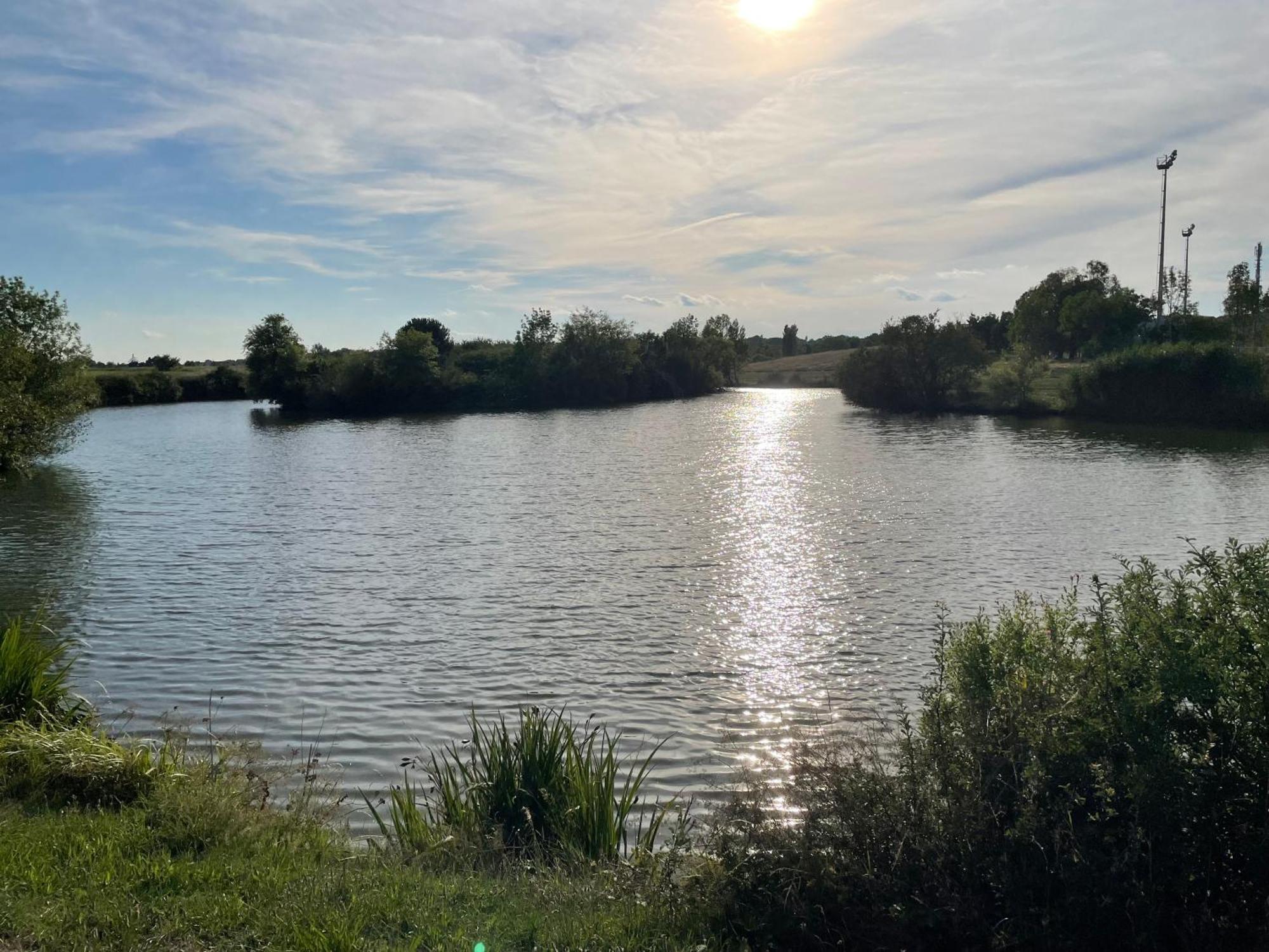 Confortable Ville A Deux Pas De Toulouse Tournefeuille Dış mekan fotoğraf